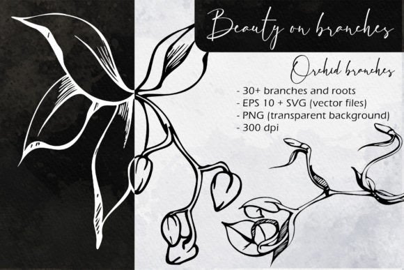 Download Beauty on Branches: Orchid Branches - Branches Collection