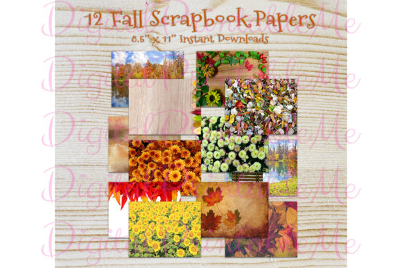 Download Fall Autumn Photo Thanksgiving Paper - Premium Bundle