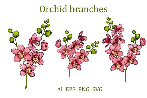 Download Branches of Orchids Flowers - Branches Collection