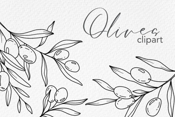 Download Olive Branches LINE ART. OLIVES CLIPART - Branches Collection