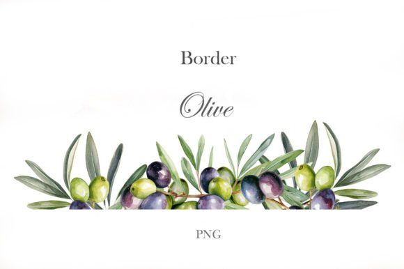 Download Olive Branches Border - Branches Collection